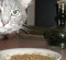 blog_spotsstewforcats