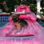 Deb Shuck and Rupert Pink Raft