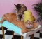 cat spa massage