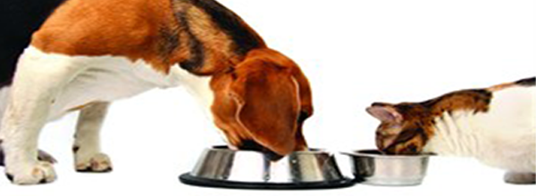 pet food for dogs and cats